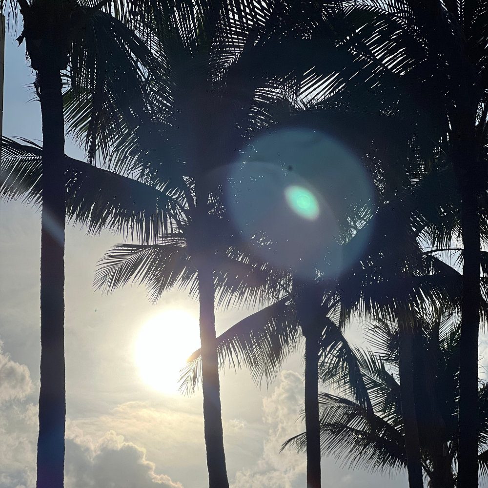 Miami